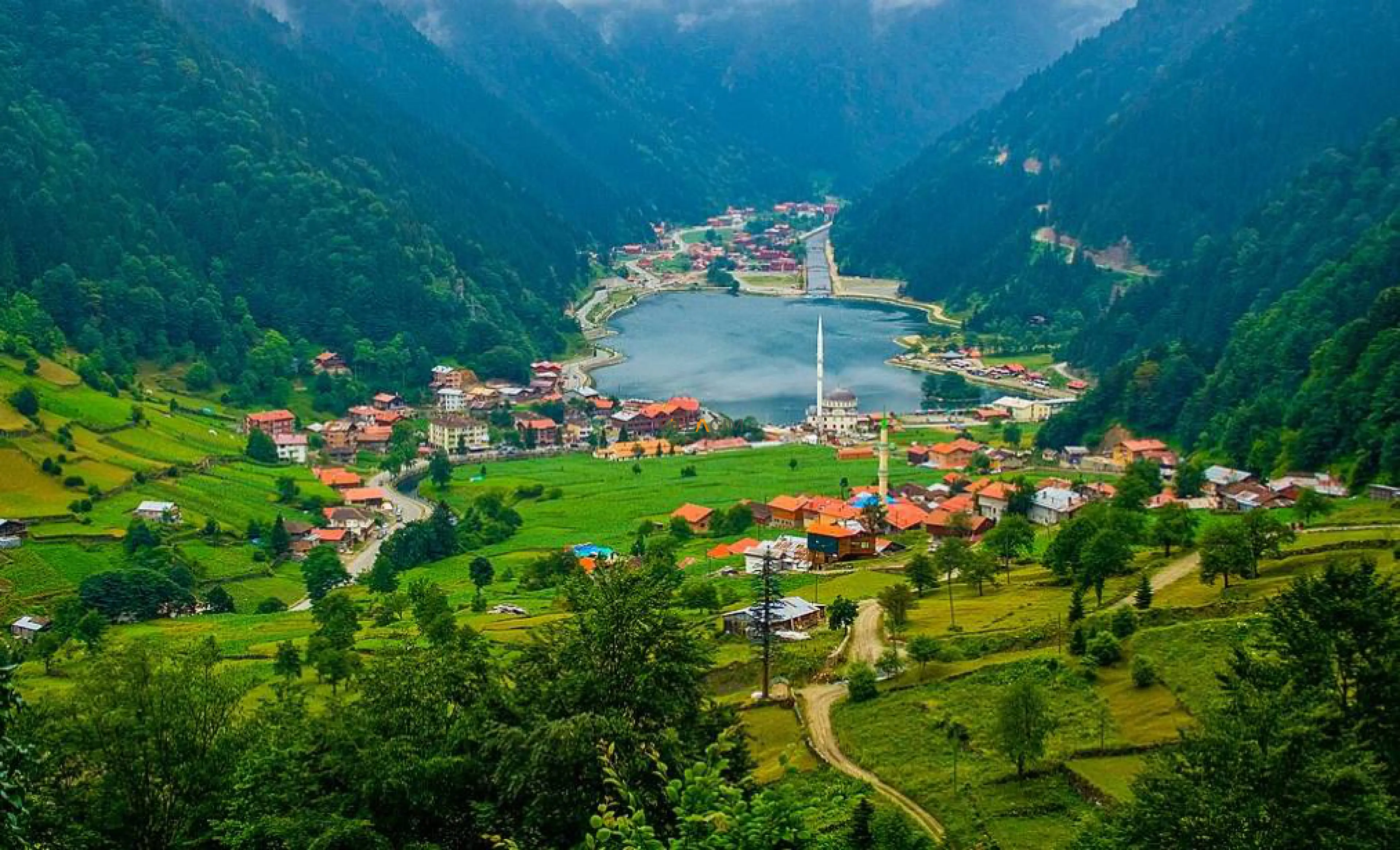 Uzungöl Araç Kiralama
